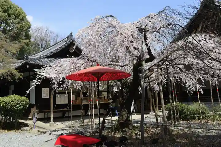 水無瀬神宮(大阪府)