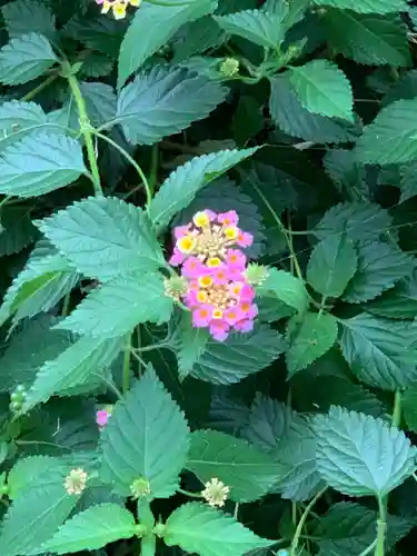 諏訪神社(神奈川県)