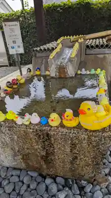 くろ谷 金戒光明寺(京都府)