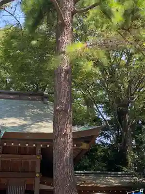 前鳥神社のその他建物