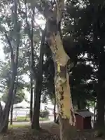 根岸八幡神社(神奈川県)