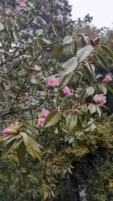 長岡天満宮(京都府)