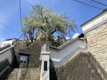 蓮法寺の{uncategorized: "未分類", other: "その他", undefined: "問題あり", building: "その他建物", grave: "お墓", sacred_gate: "鳥居", guardian: "狛犬", statue: "像", buddha: "仏像", history: "歴史", nature: "自然", garden: "庭園", animal: "動物", pagoda: "塔", temizu: "手水舎", mountain_gate: "山門・神門", sanctuary: "本殿・本堂", subordinate: "末社・摂社", art: "芸術", scenery: "景色", jizo: "地蔵", ema: "絵馬", goshuin: "御朱印", omikuji: "おみくじ", items: "授与品その他", amulet: "お守り", goshuincho: "御朱印帳", eats: "食事", festival: "お祭り", votive_dance: "神楽", shichigosan: "七五三参", wedding: "結婚式", experience: "体験その他", initially: "初詣", around: "周辺", anti_infection: "感染症対策"}