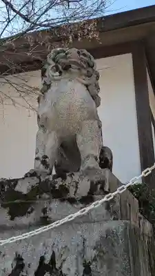 八坂神社(祇園さん)(京都府)