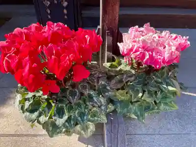 清光寺(東京都)