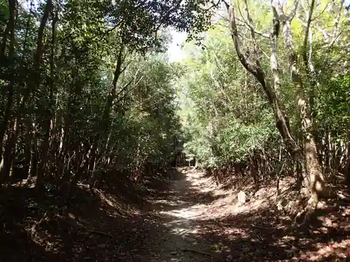 大元神社（宇佐神宮奥宮）の自然