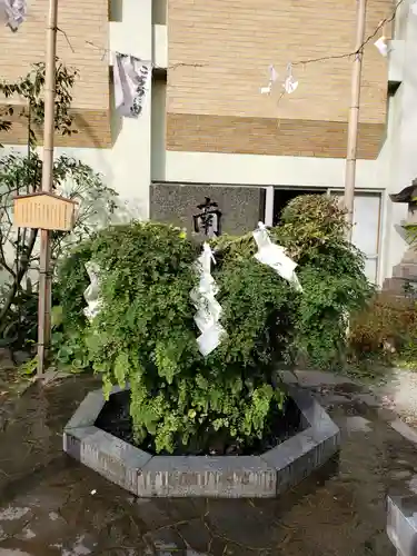 東神社(東京都)