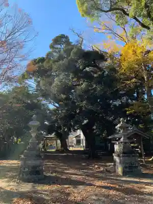 水神社(千葉県)