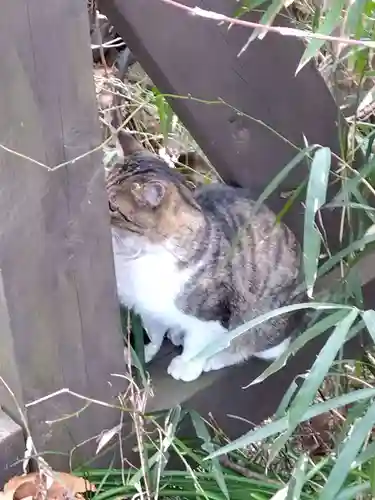 聖神社(埼玉県)