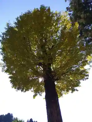 白山神社(福井県)