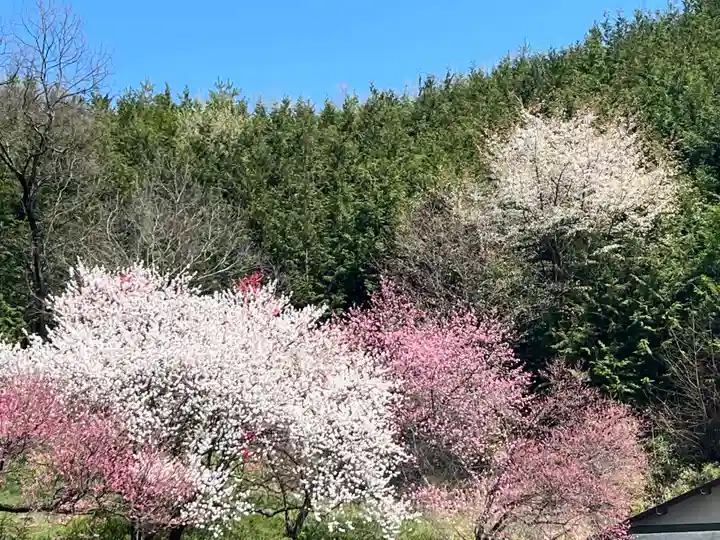 国宝 大法寺(長野県)