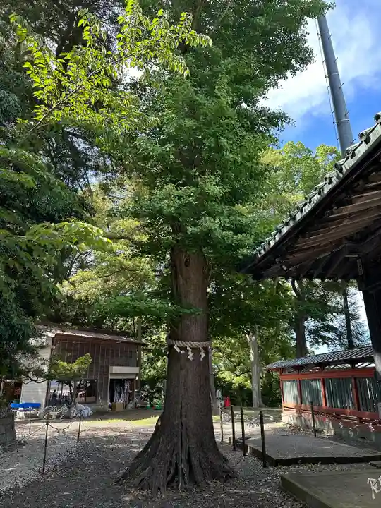 玉前神社(千葉県)