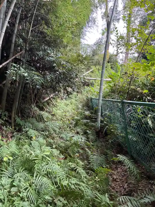 麻賀多神社(千葉県)