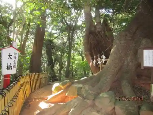住吉神社(山口県)