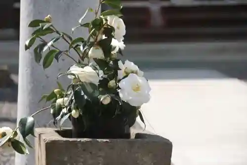 熊野福藏神社の手水舎