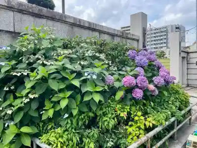 世尊寺(東京都)