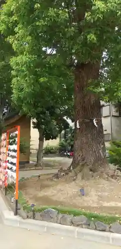 東京羽田 穴守稲荷神社(東京都)