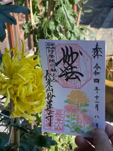 妙蓮寺の御朱印