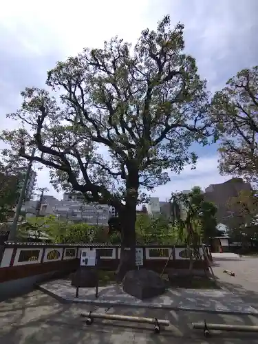 天妙国寺(東京都)