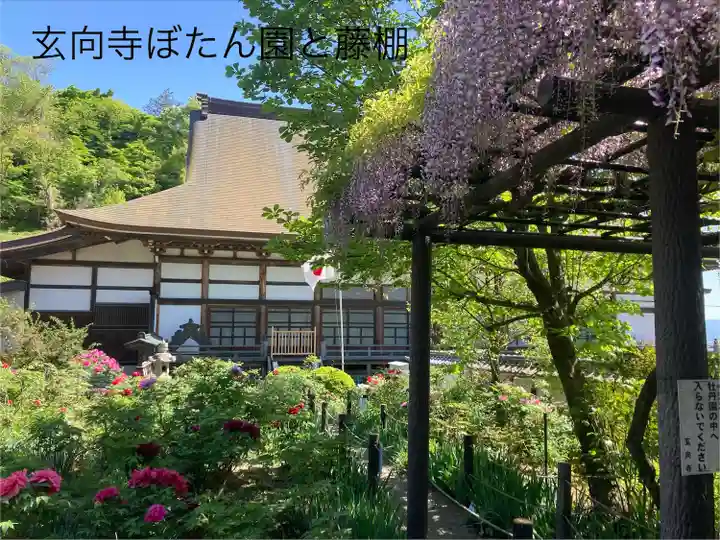 玄向寺(長野県)