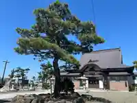 菩提寺(北海道)