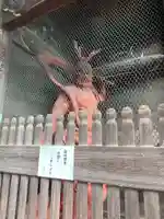 清凉寺の像