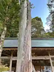 手力神社の自然