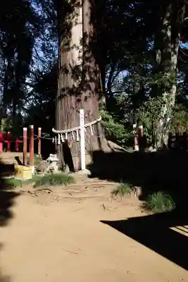 麻賀多神社奥宮(千葉県)