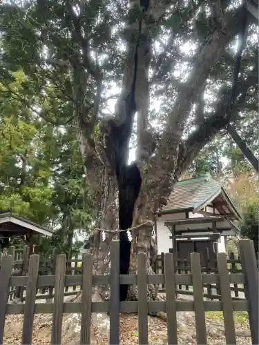 天宮神社(静岡県)