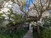 金竜寺(東京都)