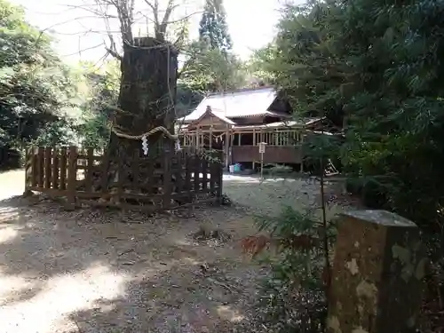 大元神社（宇佐神宮奥宮）の建物その他