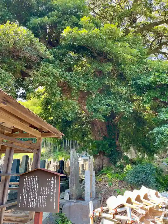 真福寺(神奈川県)