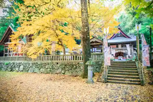 雲八幡宮(大分県)