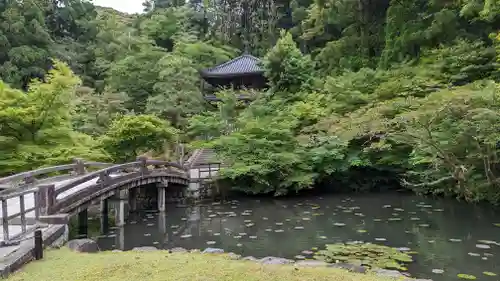 知恩院(京都府)