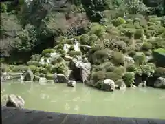 根来寺 智積院の庭園