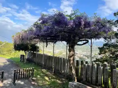 高野口八幡神社の{uncategorized: "未分類", other: "その他", undefined: "問題あり", building: "その他建物", grave: "お墓", sacred_gate: "鳥居", guardian: "狛犬", statue: "像", buddha: "仏像", history: "歴史", nature: "自然", garden: "庭園", animal: "動物", pagoda: "塔", temizu: "手水舎", mountain_gate: "山門・神門", sanctuary: "本殿・本堂", subordinate: "末社・摂社", art: "芸術", scenery: "景色", jizo: "地蔵", ema: "絵馬", goshuin: "御朱印", omikuji: "おみくじ", items: "授与品その他", amulet: "お守り", goshuincho: "御朱印帳", eats: "食事", festival: "お祭り", votive_dance: "神楽", shichigosan: "七五三参", wedding: "結婚式", experience: "体験その他", initially: "初詣", around: "周辺", anti_infection: "感染症対策"}