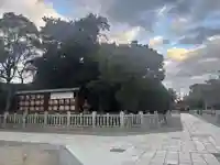 和泉國一之宮 大鳥大社(大阪府)