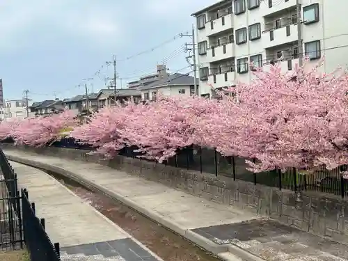 長円寺(京都府)