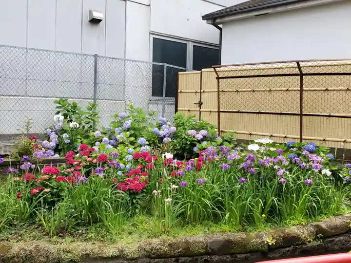 磐井神社(東京都)