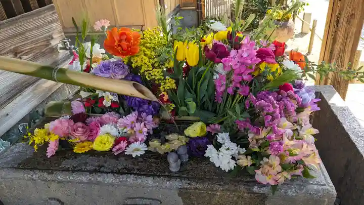 勝林寺(京都府)