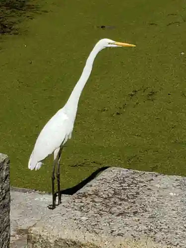 大嘗宮のその他建物