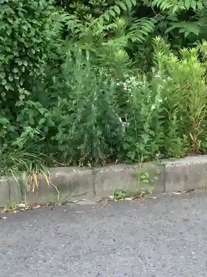 日輪寺(愛知県)