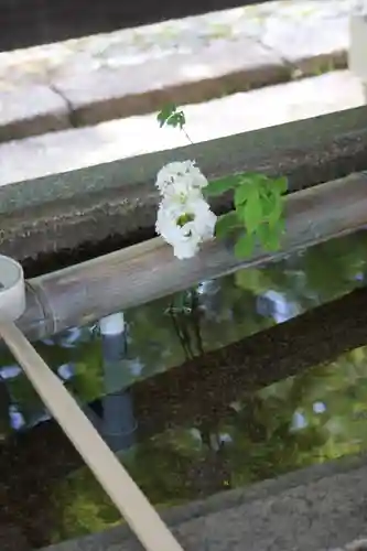 真正極楽寺（真如堂）(京都府)