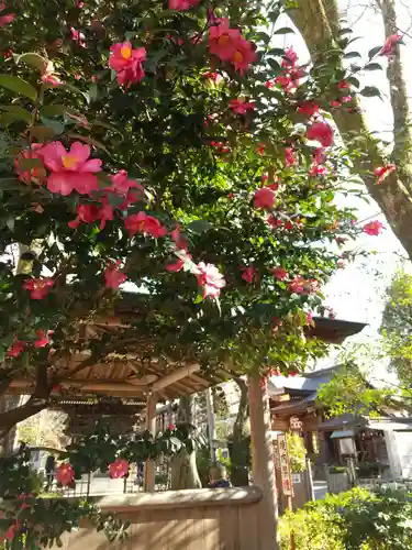 大國魂神社(東京都)