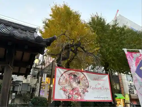 柏神社(千葉県)