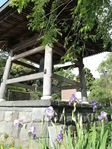 報恩寺のその他建物