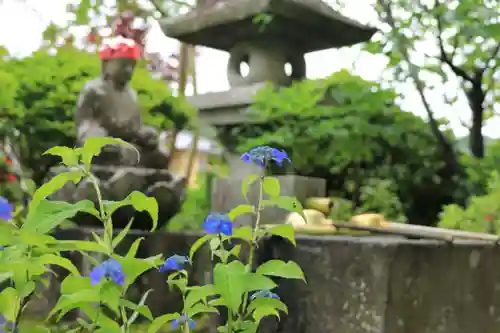 長命寺の手水