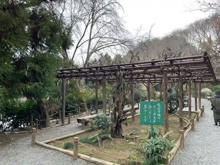 龍安寺(京都府)