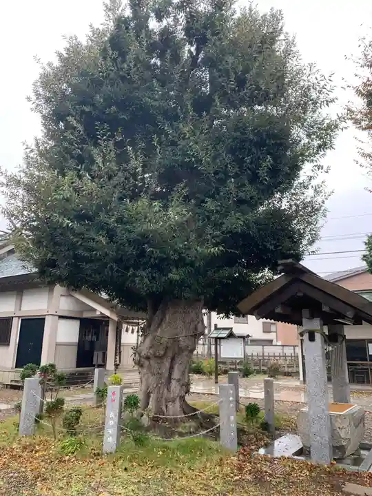 香取神社(旭町香取神社・大鳥神社)(千葉県)