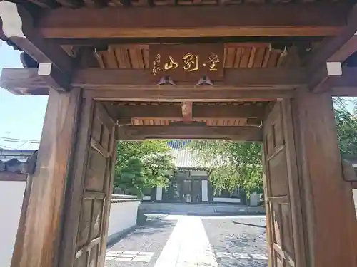 観音寺の山門